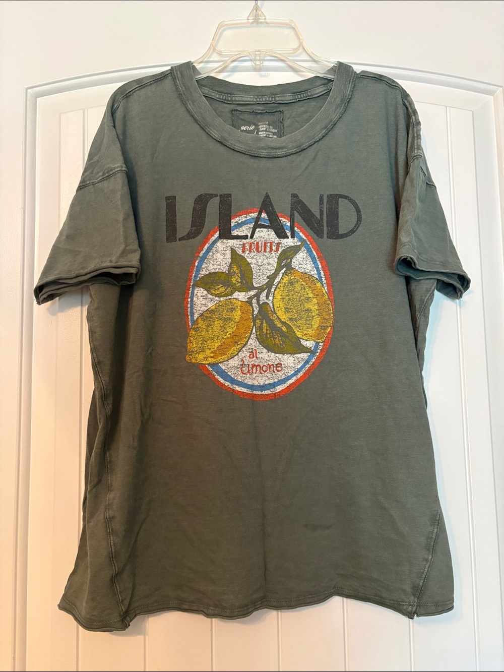 Aerie Lemon Graphic Tee in Olive Green